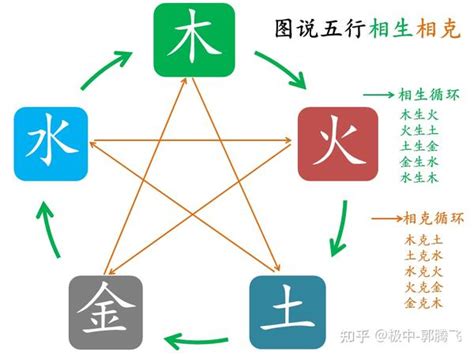 土和木|郭极中：解析五行（木、火、土、金、水）相克的理论。